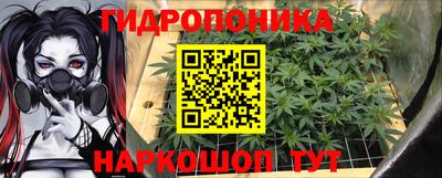 амф Канаш