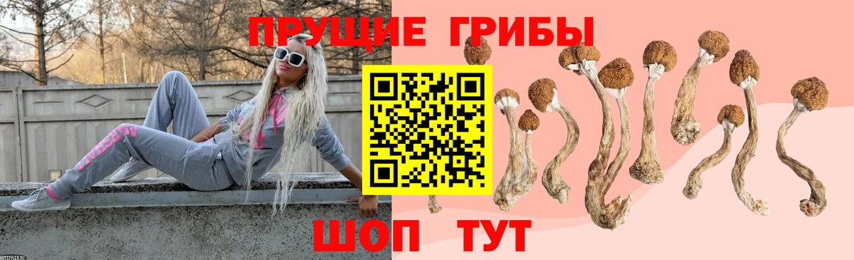 Красногорск  Галлюциногенные грибы ЛСД  даркнет сайт  Вход с VPN 